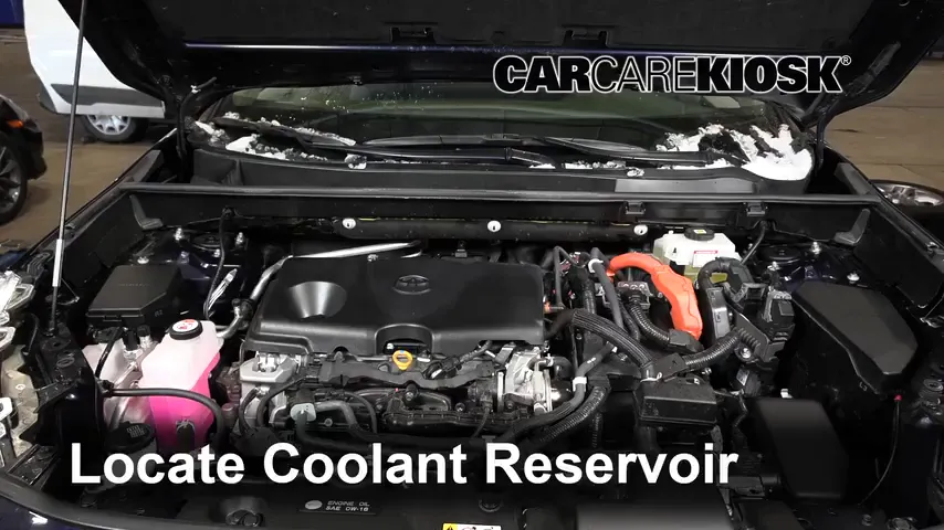2021 Toyota RAV4 Hybrid XLE 2.5L 4 Cyl. Refrigerante (anticongelante) Controlar nivel de líquido